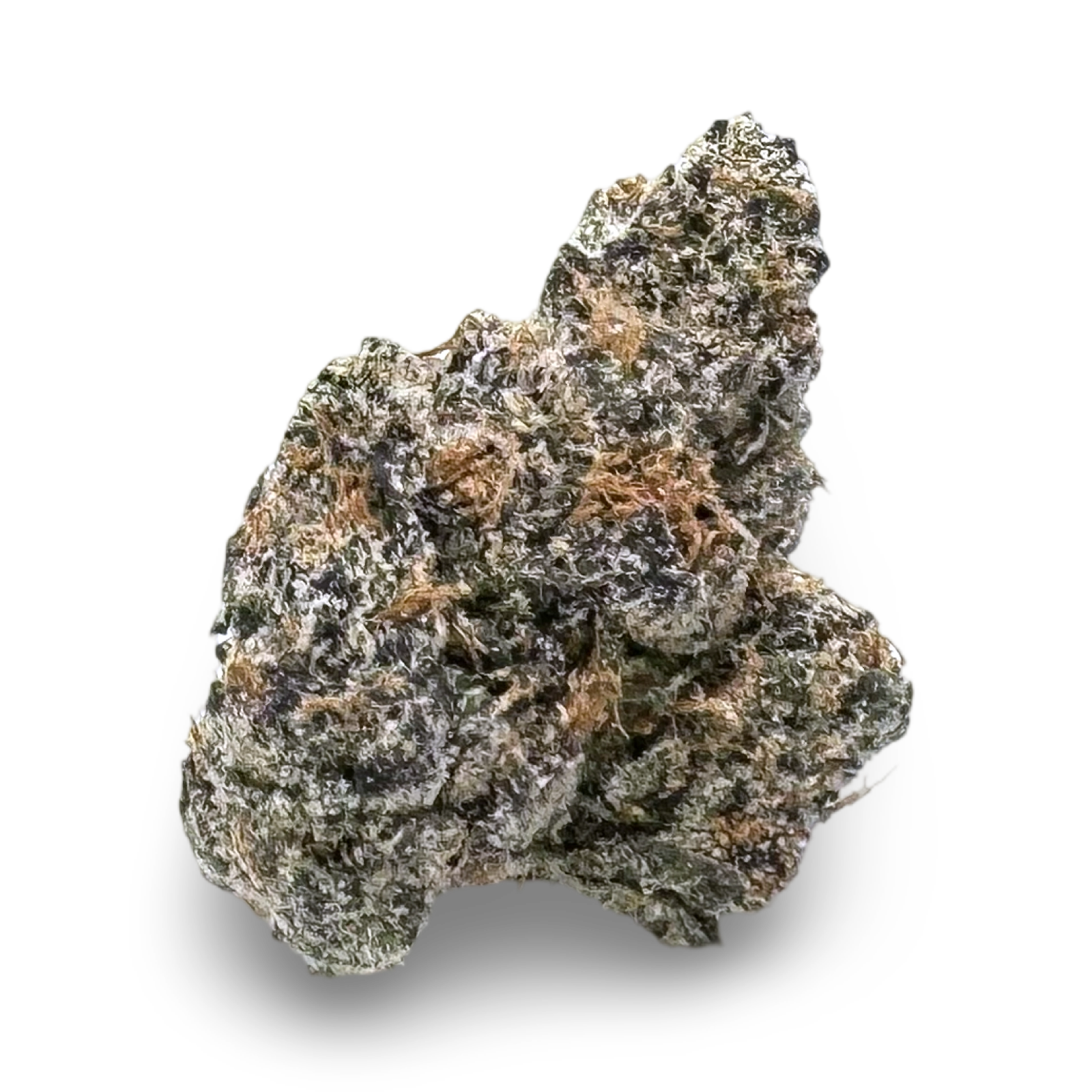 Frosted Donut