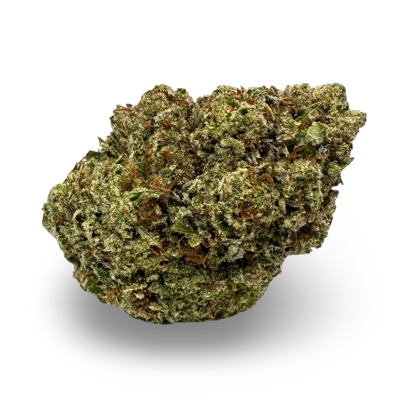 Gelato 41